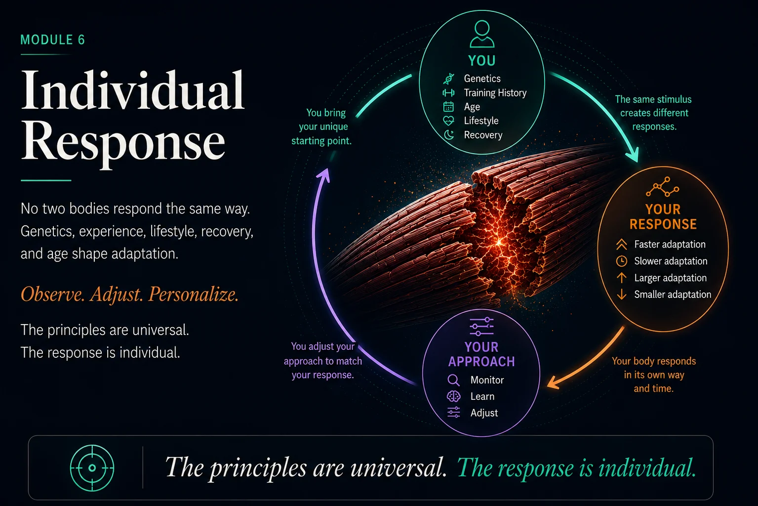 Individual response: you bring a unique starting point — genetics, training history, age, lifestyle, recovery. The same stimulus creates different responses — faster or slower, larger or smaller adaptation. You adjust your approach to match your response. The principles are universal; the response is individual.