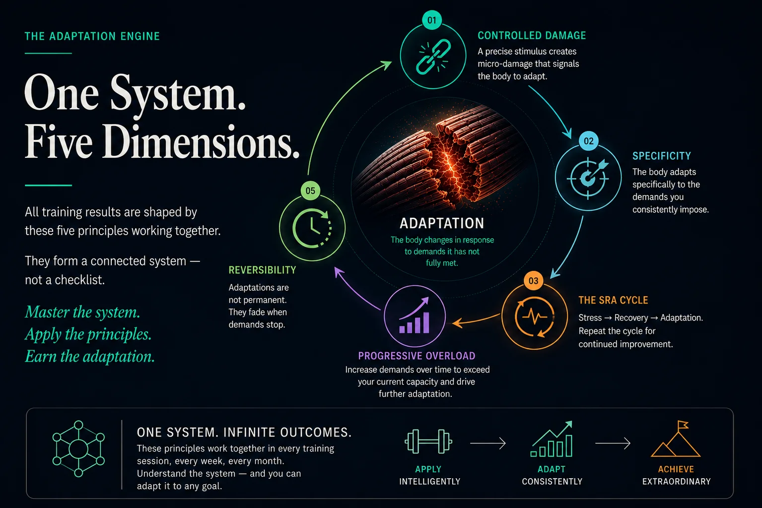 One system, five dimensions: Controlled Damage, Specificity, the SRA Cycle, Progressive Overload, and Reversibility orbit a central Adaptation core. The five principles form a connected system, not a checklist — apply intelligently, adapt consistently, achieve extraordinary results.