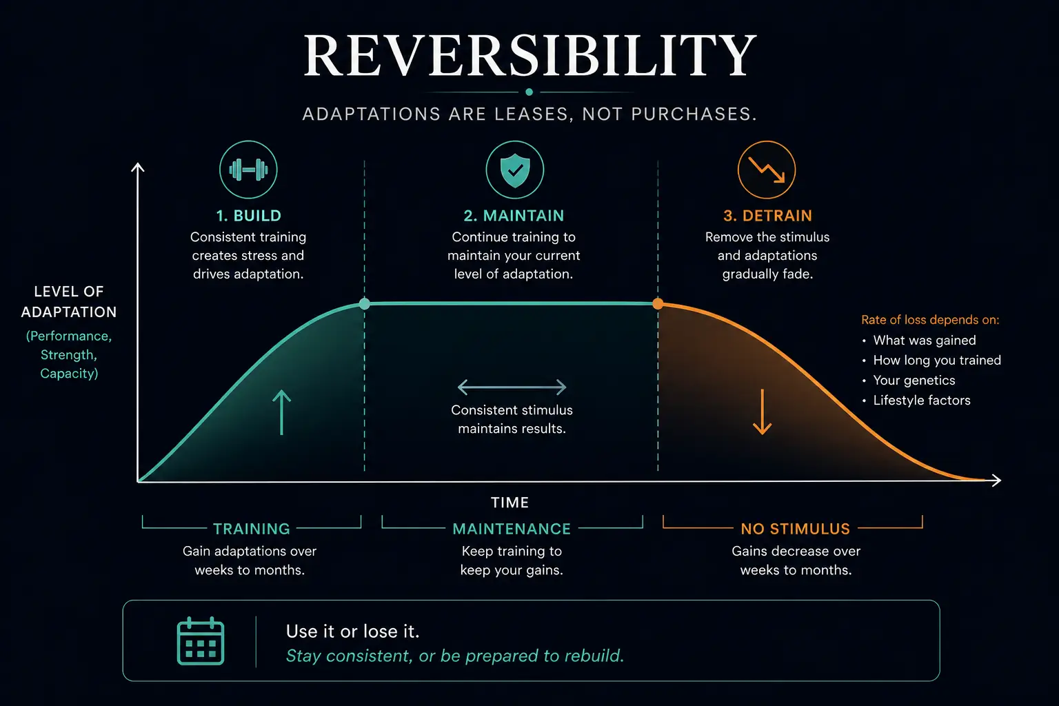Reversibility curve: Build, Maintain, Detrain — adaptations accumulate with training and fade without stimulus.