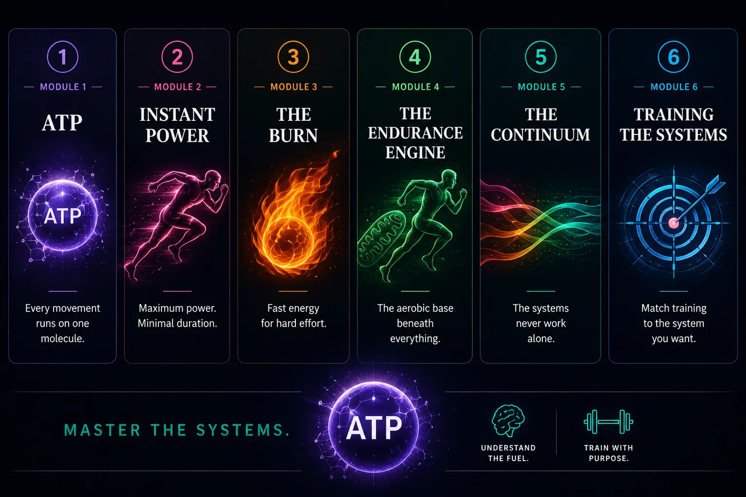 Energy Systems — Guide 2 of the Movement System series. Three energy systems, six modules, one central idea: understand how your body powers movement.