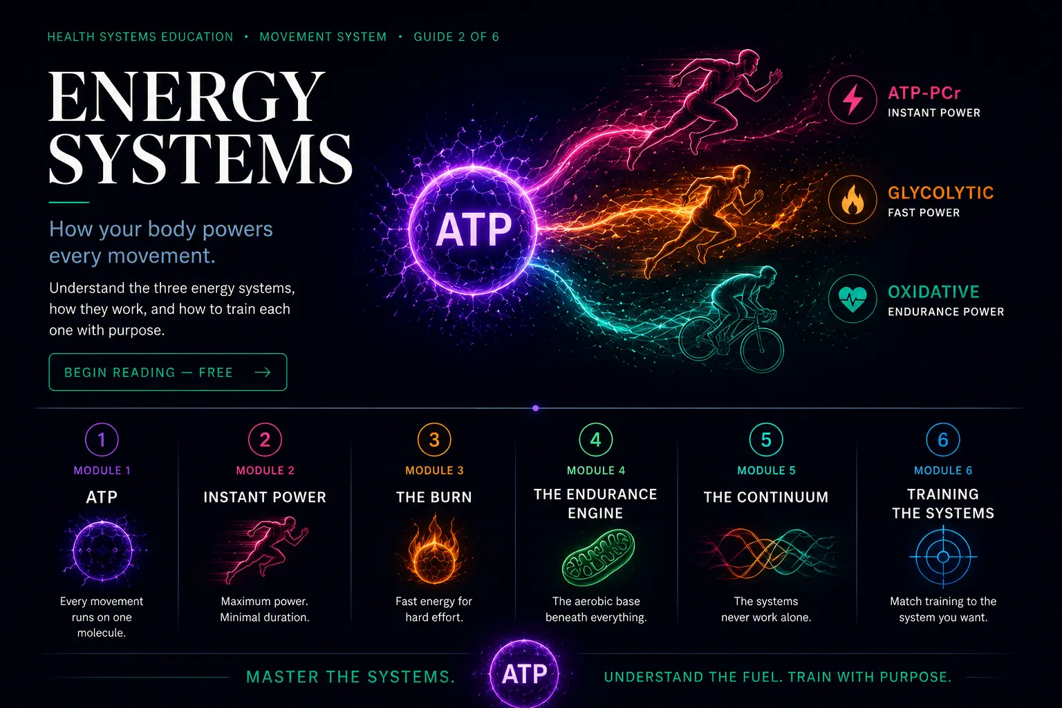 Energy Systems — Health Systems Education, Movement System, Guide 2. How your body powers every movement: understand the three energy systems, how they work, and how to train each one with purpose. A glowing ATP core sends energy to three athletes — a sprinter (ATP-PCr, instant power), a runner (glycolytic, fast power), and a cyclist (oxidative, endurance power). Below, the six modules: 1 ATP, 2 Instant Power, 3 The Burn, 4 The Endurance Engine, 5 The Continuum, 6 Training the Systems. Master the systems — understand the fuel, train with purpose. Begin reading, free.
