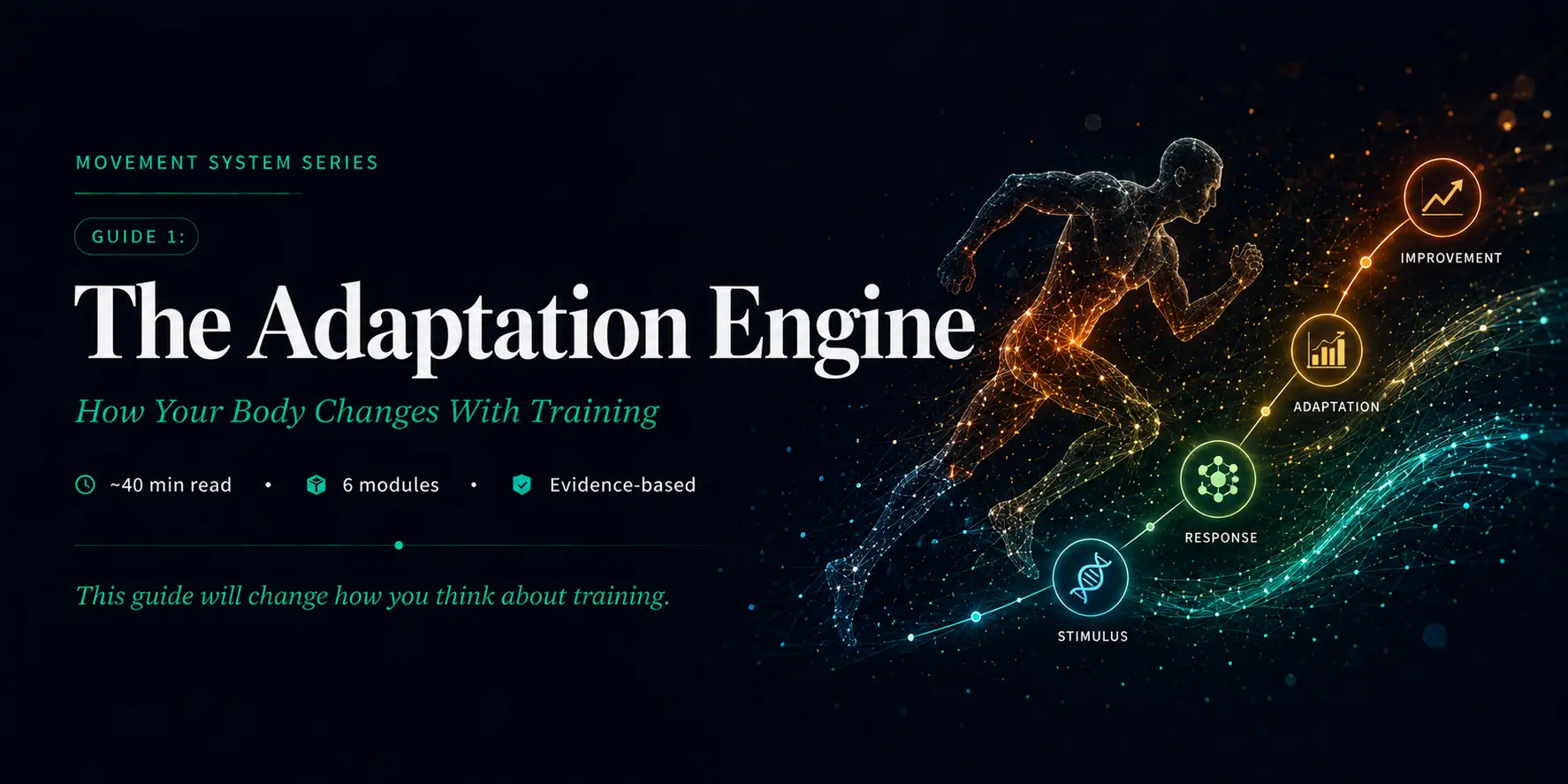 The Adaptation Engine