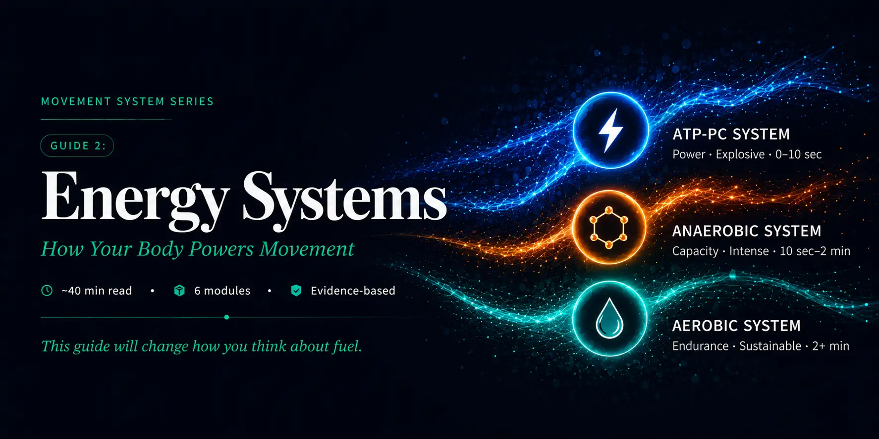 Energy Systems — ATP-PC, Anaerobic, and Aerobic systems: the three fuel systems that power every movement