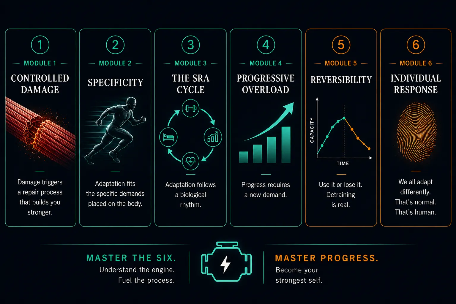 The Adaptation Engine — the six fundamental principles that govern all training adaptation: Controlled Damage, Specificity, the SRA Cycle, Progressive Overload, Reversibility, and Individual Response, working together as one integrated engine.