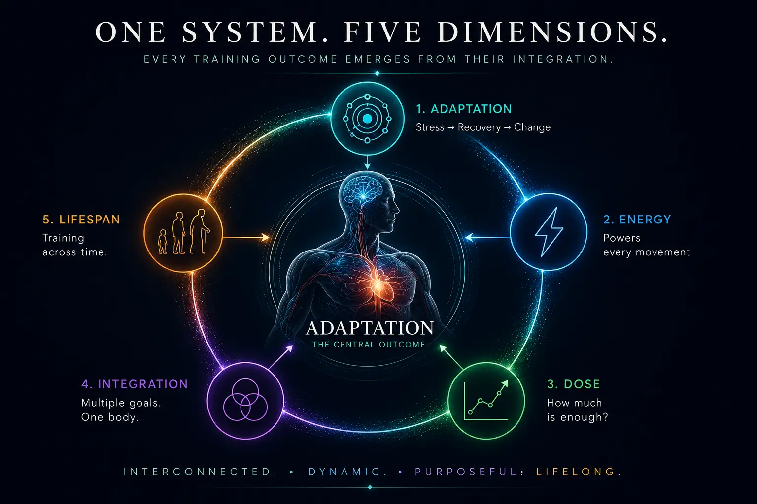 One System. Five Dimensions — the five interconnected dimensions of adaptation, energy, dose, integration, and lifespan, with adaptation at the centre.