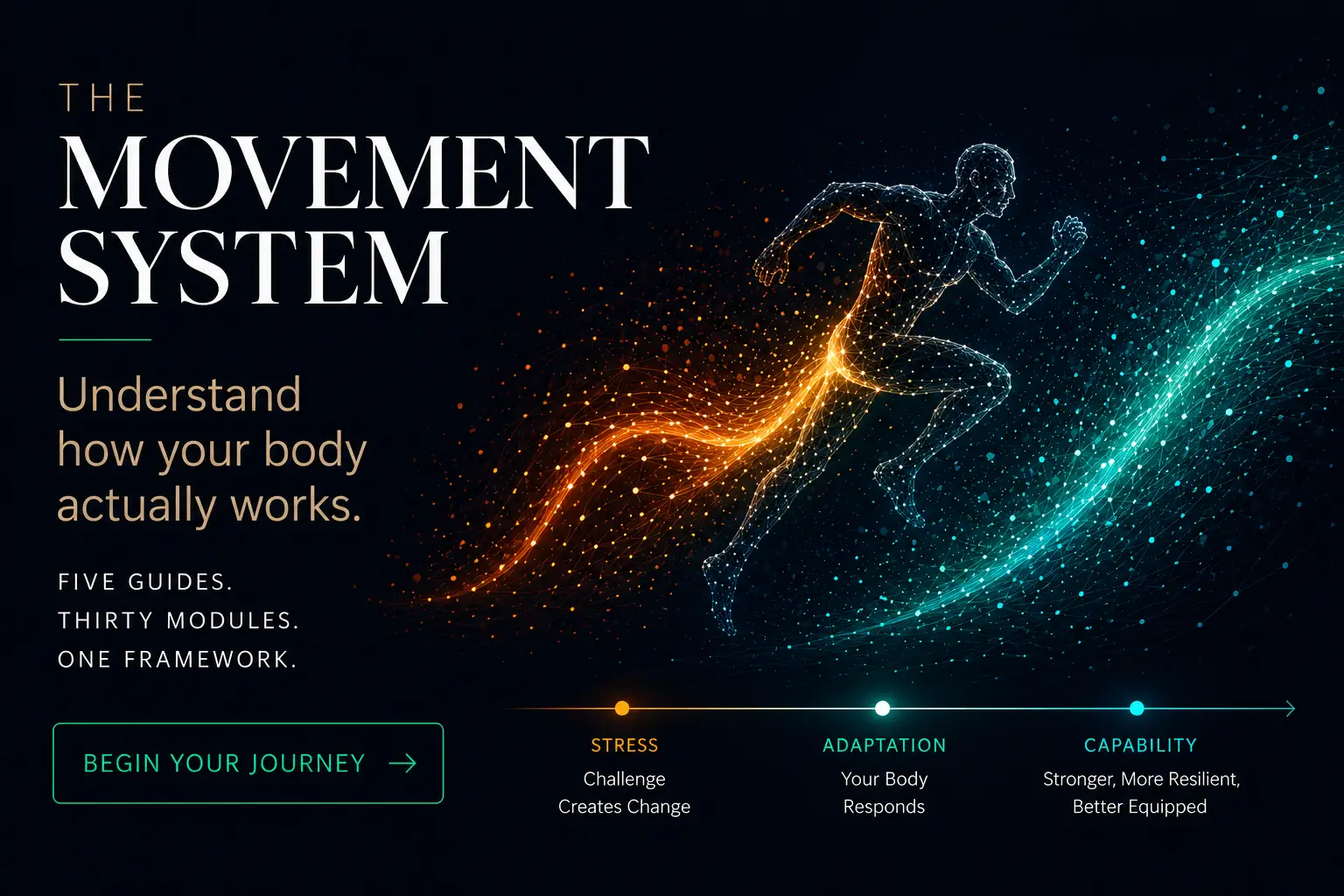 The Movement System Guide — understand how your body works.